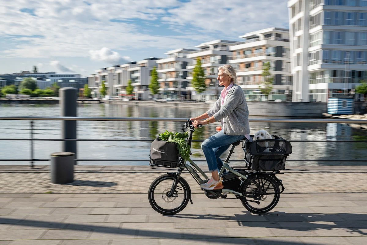 Tern - Dog Roof Mini - Abri Pour Chien 3 Tern - Dog Roof Mini - Abri Pour Chien